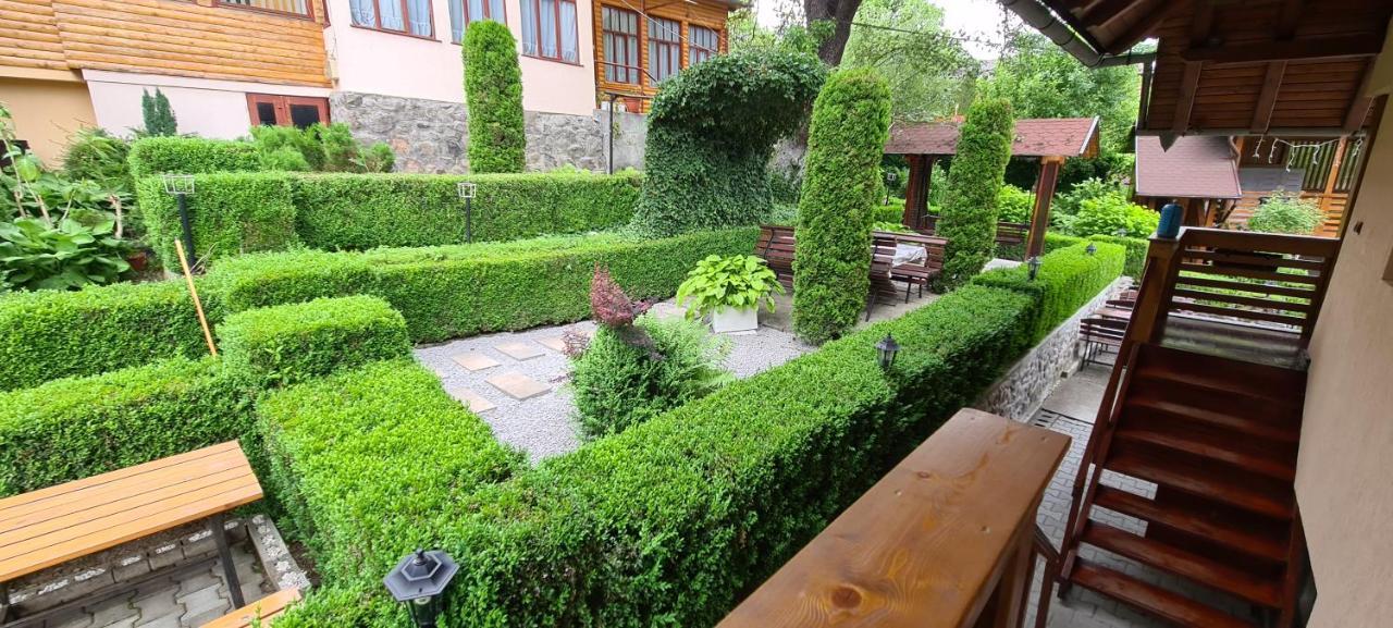 Casa Edy Hotell Sovata Exteriör bild