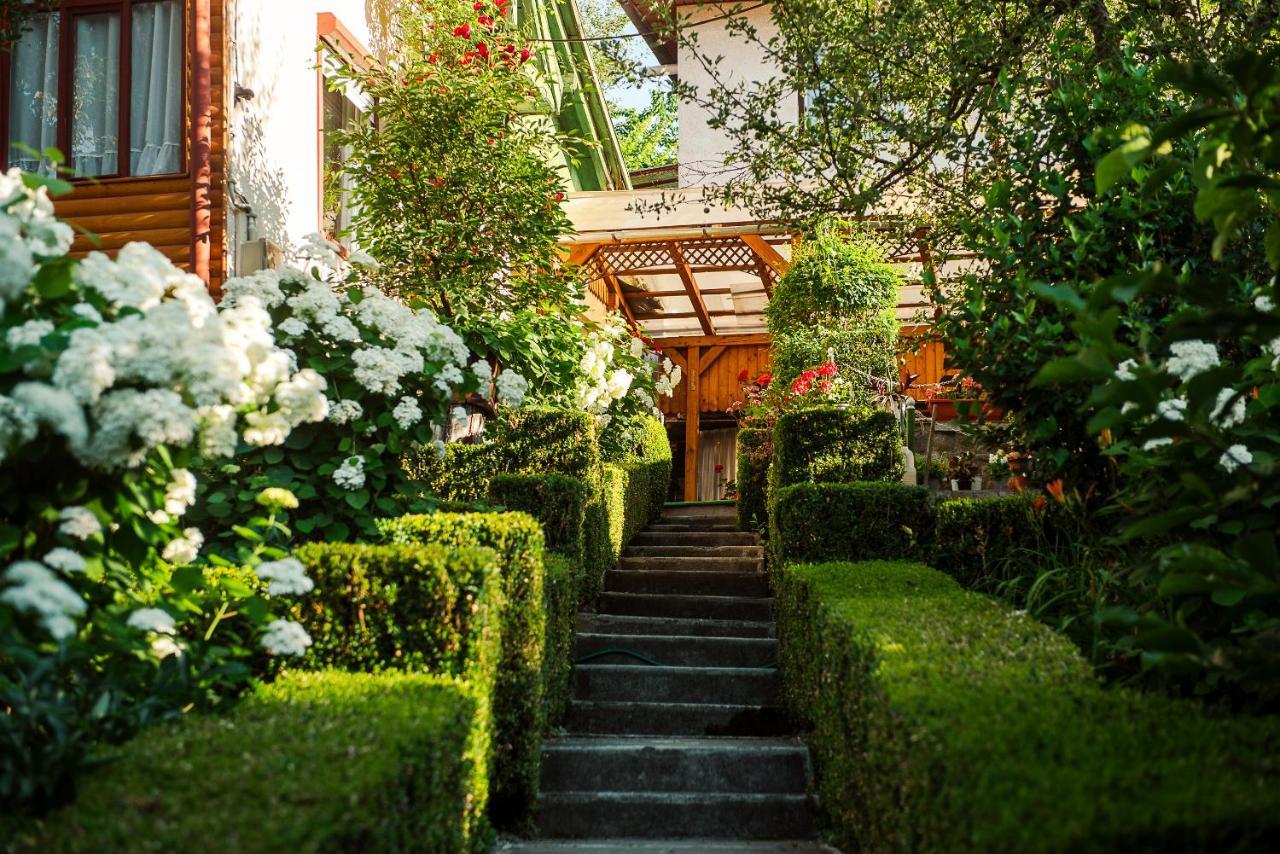Casa Edy Hotell Sovata Exteriör bild