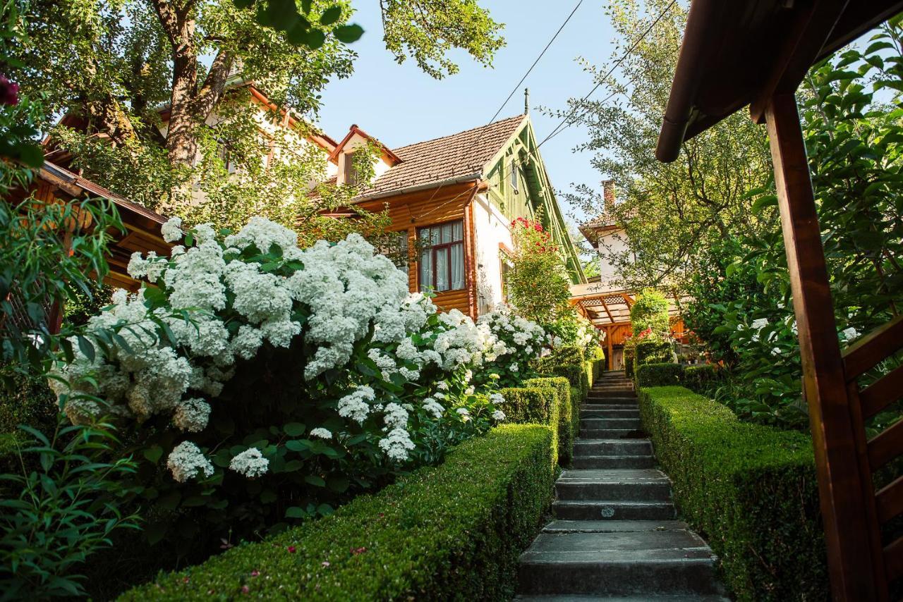 Casa Edy Hotell Sovata Exteriör bild