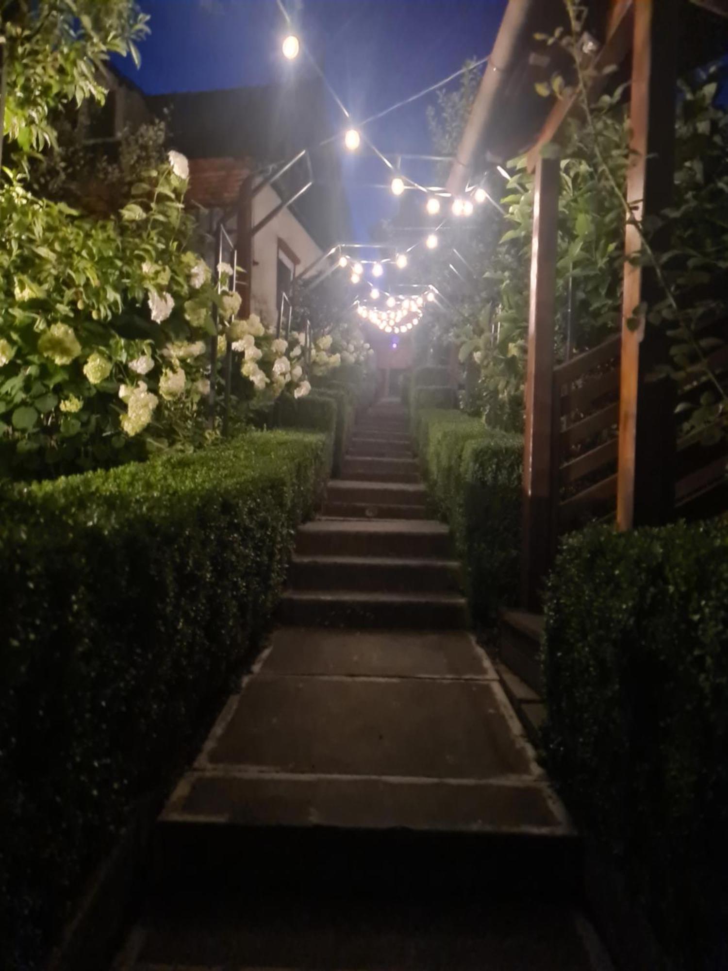 Casa Edy Hotell Sovata Exteriör bild
